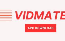 How To Download Videos From Social Media Using VidMate